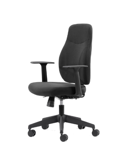 Kontorstol Ergo eco 2 sort